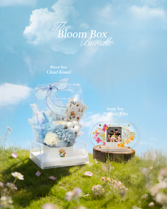 Cloud Kissed Bloom Box Bundle