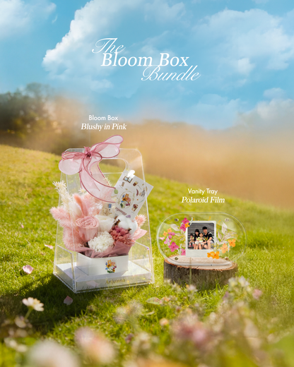 Blushy in Pink Bloom Box Bundle